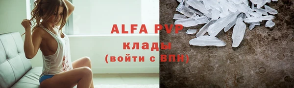 ПСИЛОЦИБИНОВЫЕ ГРИБЫ Инсар
