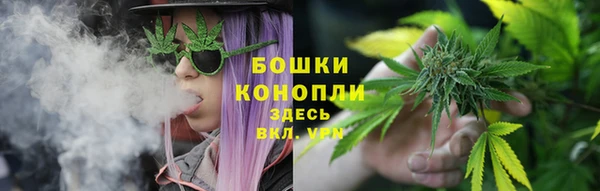 бошки Инта
