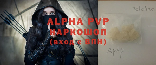 ПСИЛОЦИБИНОВЫЕ ГРИБЫ Инсар