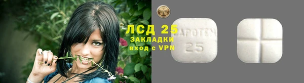 ПСИЛОЦИБИНОВЫЕ ГРИБЫ Инсар