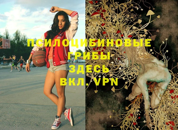 2c-b Иннополис