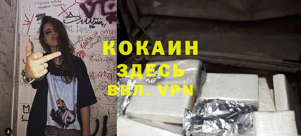 бошки Инта