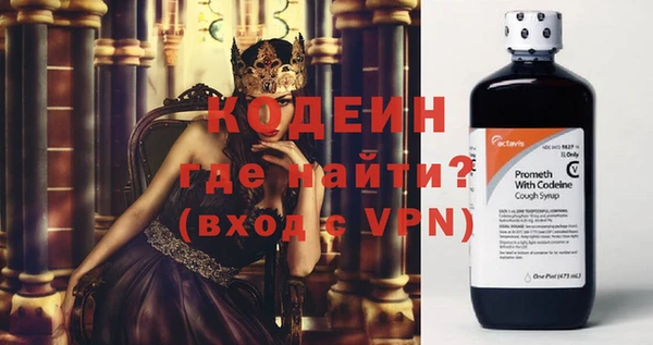 ПСИЛОЦИБИНОВЫЕ ГРИБЫ Инсар