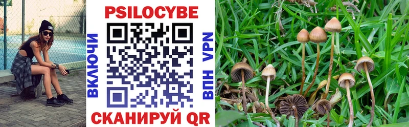 Псилоцибиновые грибы мицелий Иннополис